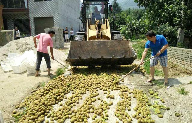 beat365官方网站图片
