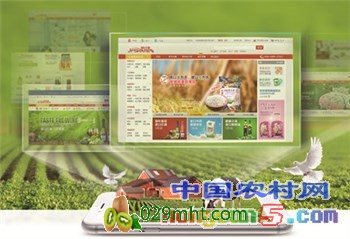 互联网+农业方案出台 涉农电商迎机遇
