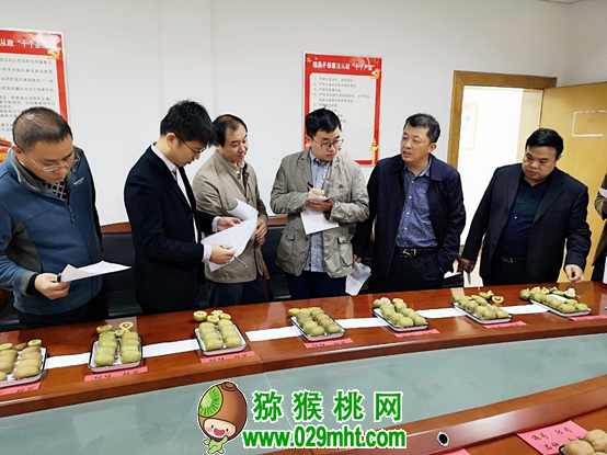 宜昌推动beat365猕猴桃产业高质量发展 18个样品品质“大比拼”
