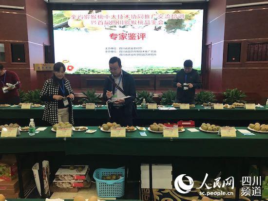 专家评鉴现场。