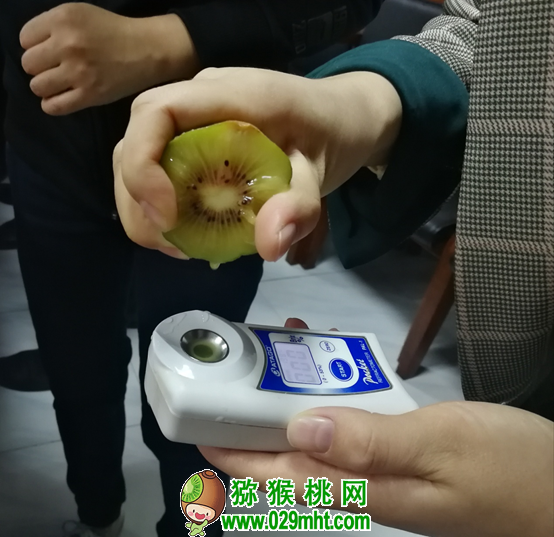 宜昌推动beat365猕猴桃产业高质量发展 18个样品品质“大比拼”