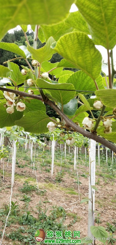 beat365 b0cb4