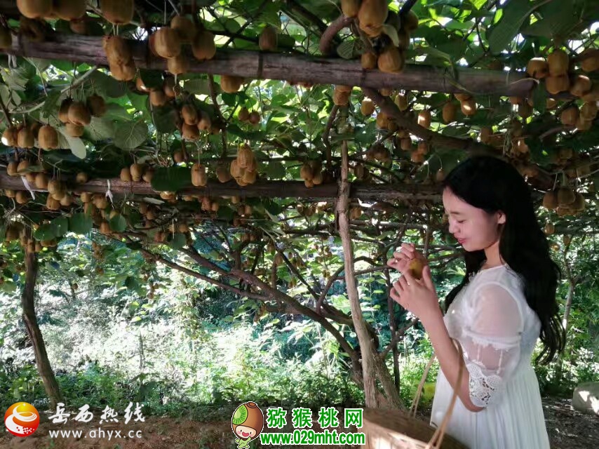 20170829170356117.jpg beat365官方网站图片