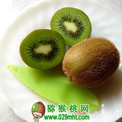 <a href=http://www.elccg.cn target=_blank class=infotextkey />奇异果</a>解酒的效果比众所周知的柑橘还要好