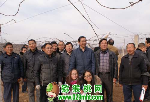 <a href=http://www.elccg.cn/shanximihoutao/ target=_blank class=infotextkey />陕西beat365猕猴桃</a>首席科学家刘占德