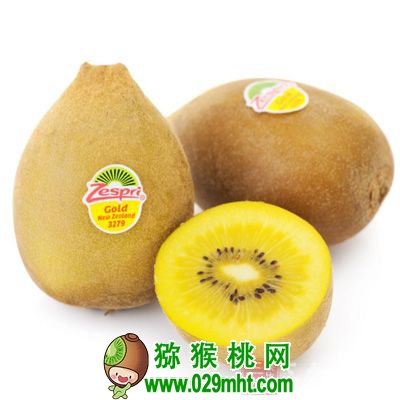 <a href=http://www.elccg.cn target=_blank class=infotextkey />奇异果</a>被誉为&ldquo;维C之王&rdquo;&ldquo;百果之王&rdquo;