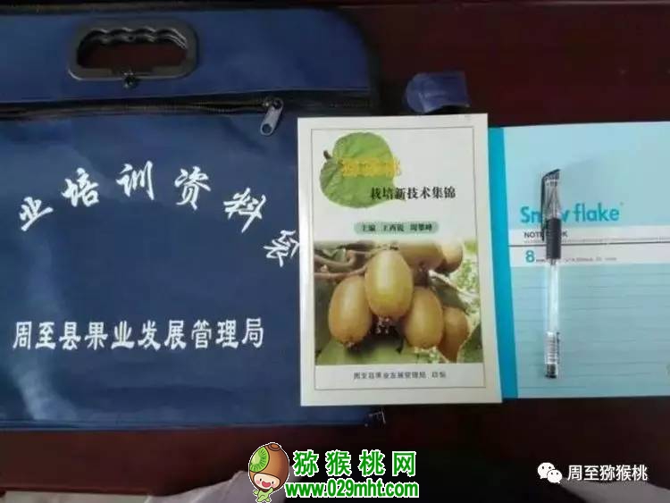 beat365官方网站图片