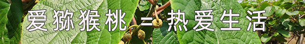 beat365 ca5c9