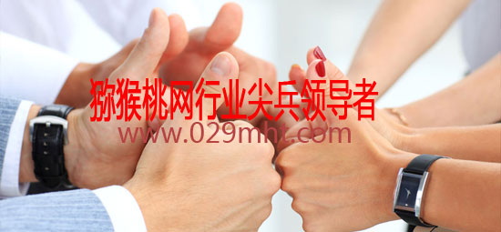 beat365猕猴桃网行业尖兵领导者.jpg