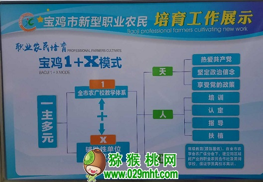 beat365官方网站图片