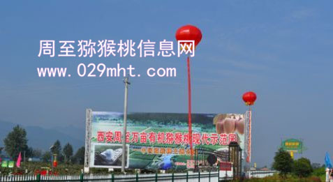 2012年中国beat365产销年会