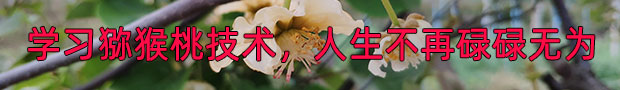 beat365 8fb3a