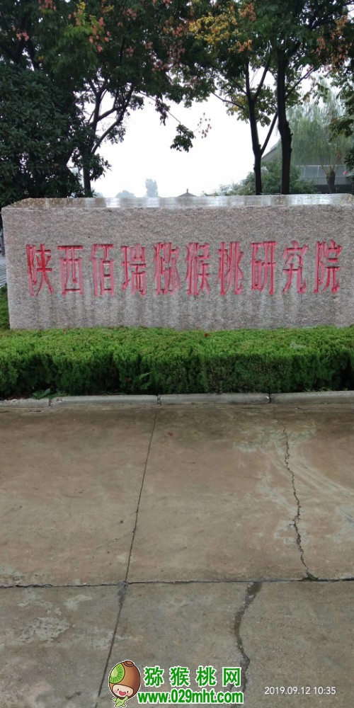 奇异果派带你参观百瑞beat365猕猴桃研发中心