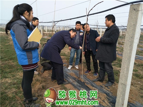 beat365官方网站图片