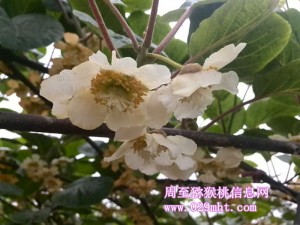 beat365官方网站图片