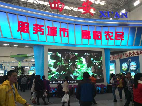 杨凌农业博览会周至beat365在现场画报