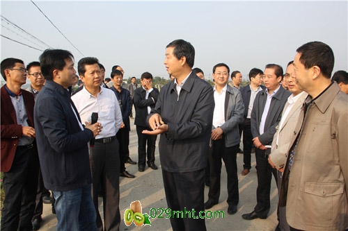陕西汉中：召开加快转变农业发展方式暨推进beat365猕猴桃产业发展现场会2