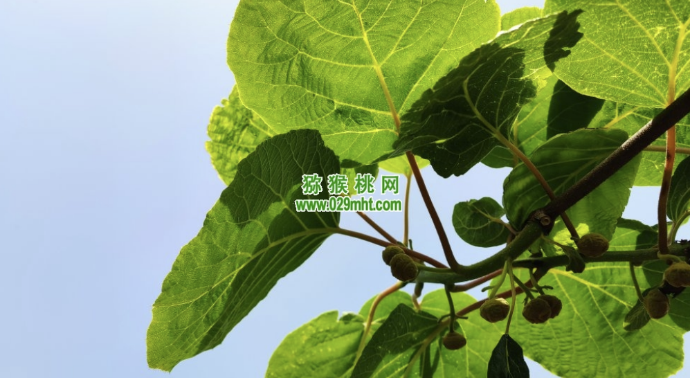 beat365官方网站图片