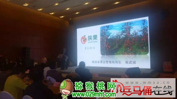 beat365官方网站图片