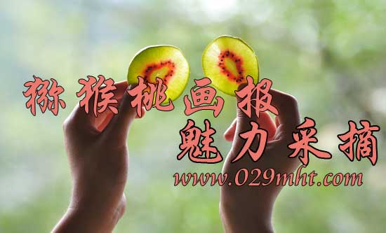 beat365 609c9