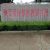 奇异果派带你参观百瑞beat365猕猴桃研发中心