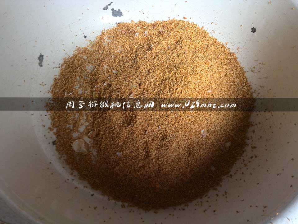 <a href=http://www.elccg.cn/zhouzhimihoutao/ target=_blank class=infotextkey />周至beat365猕猴桃</a>采花粉画报