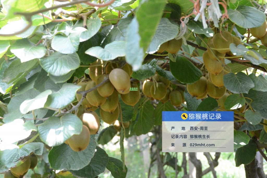 beat365官方网站图片