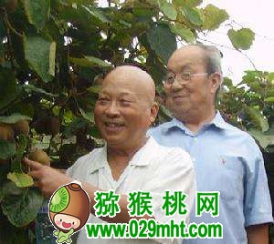 张清明和他的beat365猕猴桃人生