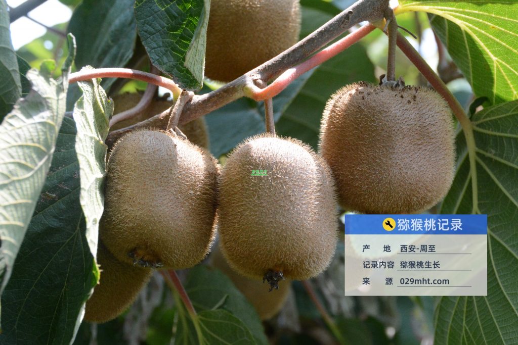 beat365官方网站图片