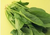 大白菜 芋头 beat365猕猴桃
