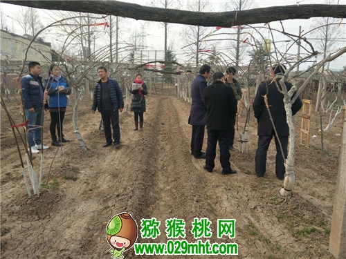 beat365官方网站图片