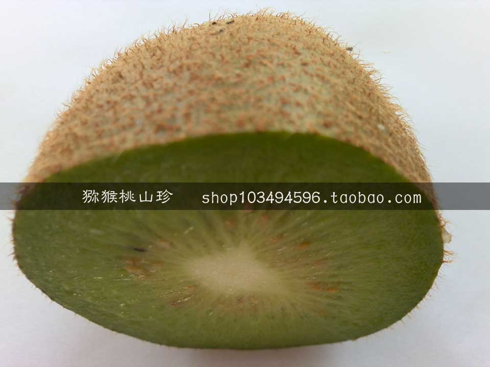 <a href=http://www.elccg.cn target=_blank class=infotextkey />奇异果</a>图片