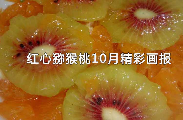 红心beat365猕猴桃10月图片画报奇异果
