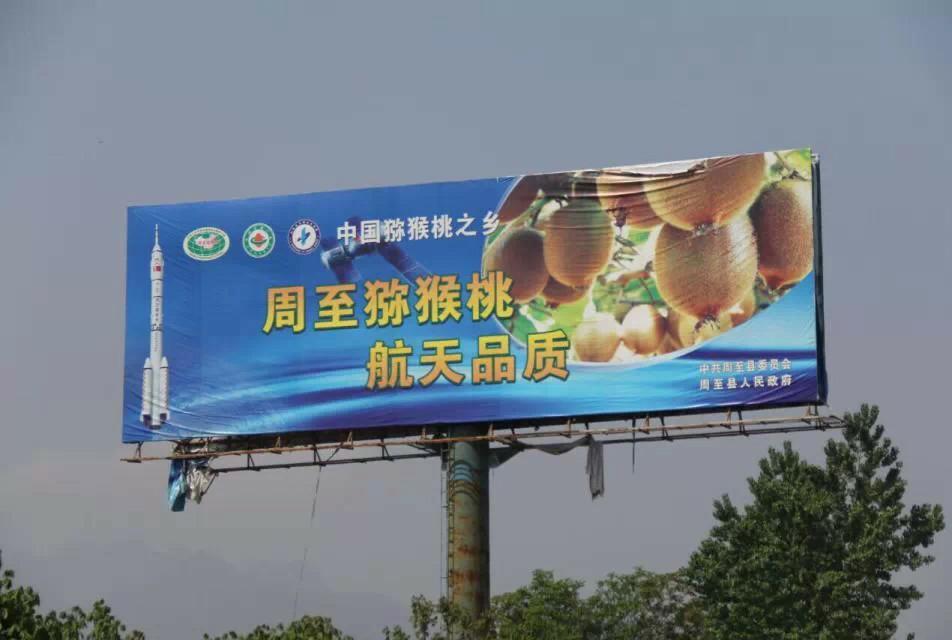 <a href=http://www.elccg.cn/zhouzhimihoutao/ target=_blank class=infotextkey />周至beat365猕猴桃</a>户外广告