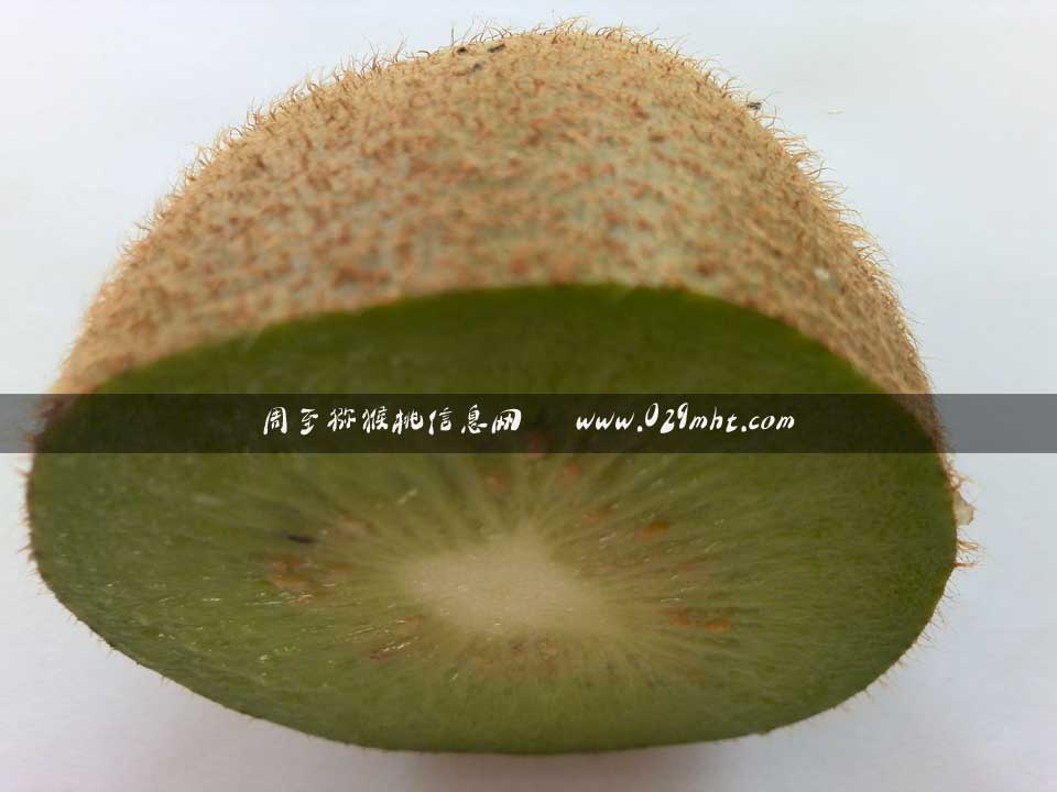 2014年8月5日海沃德beat365猕猴桃画报