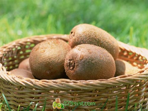 What is Kiwi Fruit ?