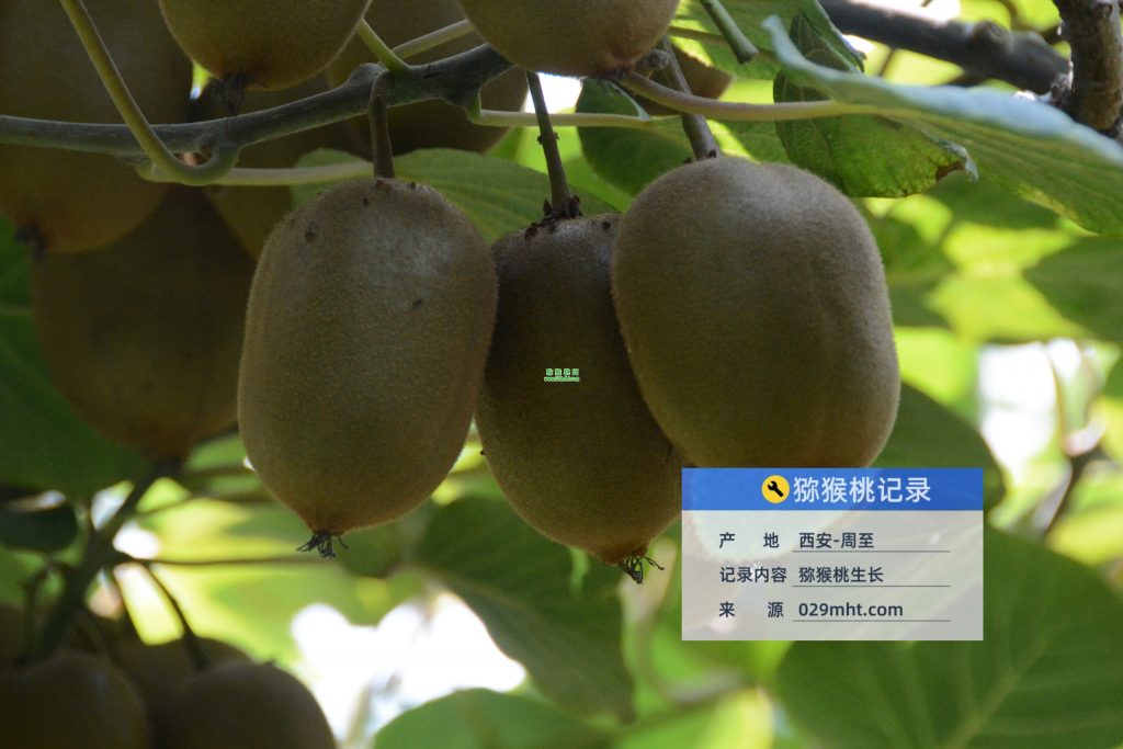 beat365官方网站图片