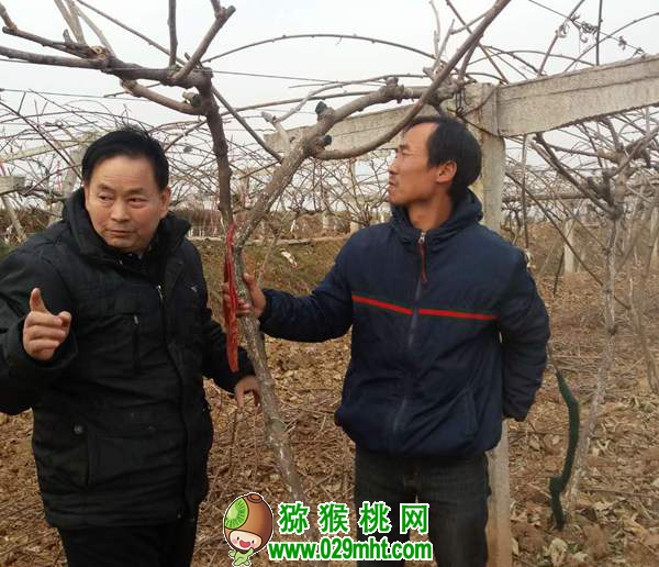 段眉会同志荣获2011—2013年度全国农渔业丰收奖贡献奖