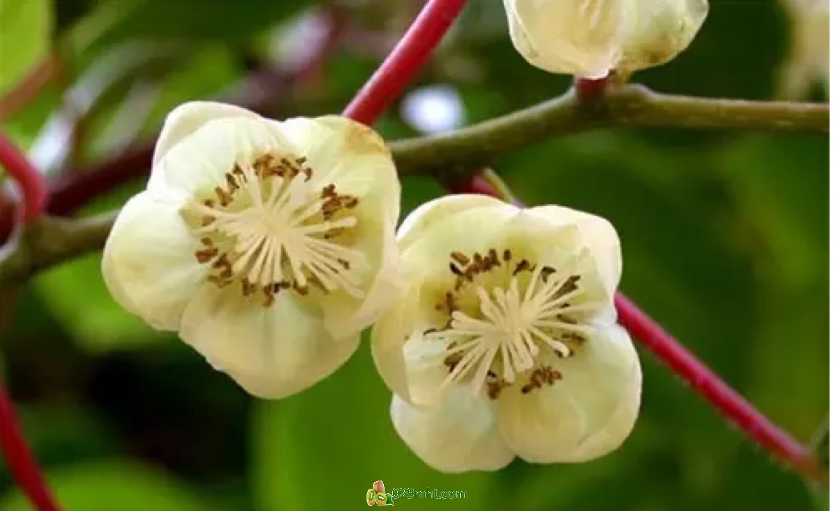 20150417H3328_MTPhj