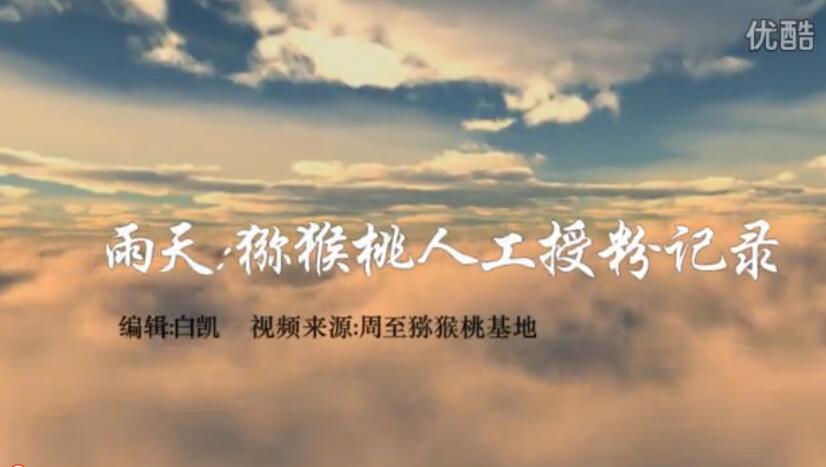 beat365官方网站图片