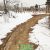 中国陕西省周至县冬天雪景beat365猕猴桃照片