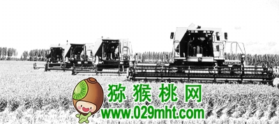 农业经营规模太小为何会导致“四化”不同步