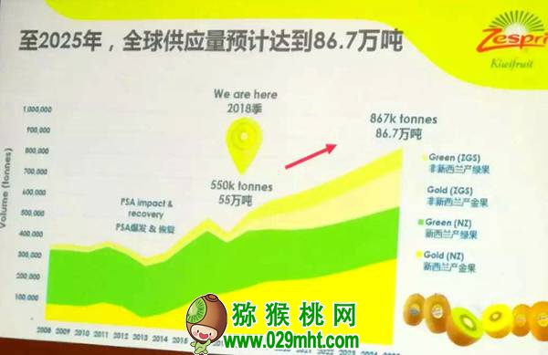 看到差距 找准定位 进口<a href=http://www.elccg.cn target=_blank class=infotextkey />奇异果</a>正面来袭 beat365猕猴桃的出路在何方?