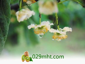 u=2446131967,3580141094&amp;fm=21&amp;gp=0