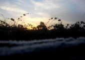 周至beat365猕猴桃基地明日有雨