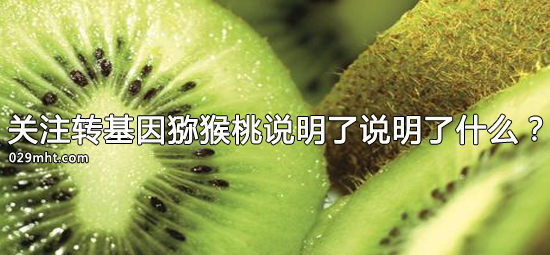 关注转基因beat365猕猴桃说明了说明了什么?