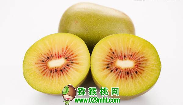 佳沛阳光金果来势汹汹 <a href=http://www.elccg.cn/e/tags/index.php?tagname=%E5%9B%BD%E4%BA%A7%E7%8C%95%E7%8C%B4%E6%A1%83&page=0 target=_blank class=infotextkey />国产beat365猕猴桃</a>还有机会吗?