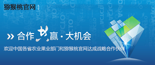欢迎中国各省农业果业部门和<a href=http://www.elccg.cn target=_blank class=infotextkey>beat365猕猴桃</a>beat365达成战略beat365伙伴.jpg