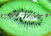 西安智慧城市智慧果园