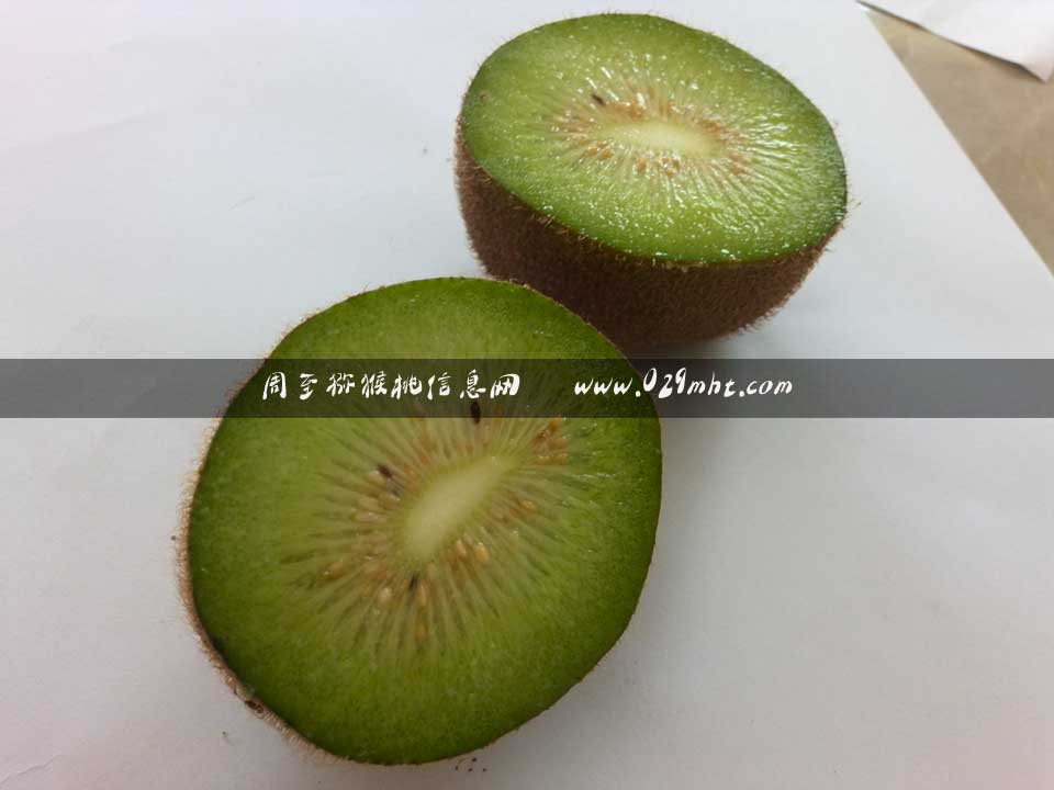 <a href=http://www.elccg.cn/mht/guogan/ target=_blank class=infotextkey />beat365猕猴桃果脯</a>切片beat365猕猴桃